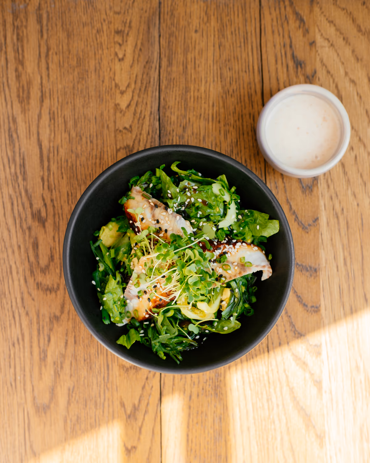SEAWEED AND EEL